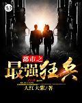 都市之最強狂兵