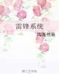 雷鋒係統
