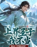 上界聖子我不當，跑來下界做雜役？
