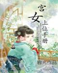 宮女上位手冊